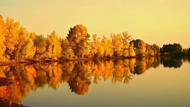 قىركۇيەكتە كۇن رايى قانداي بولادى؟