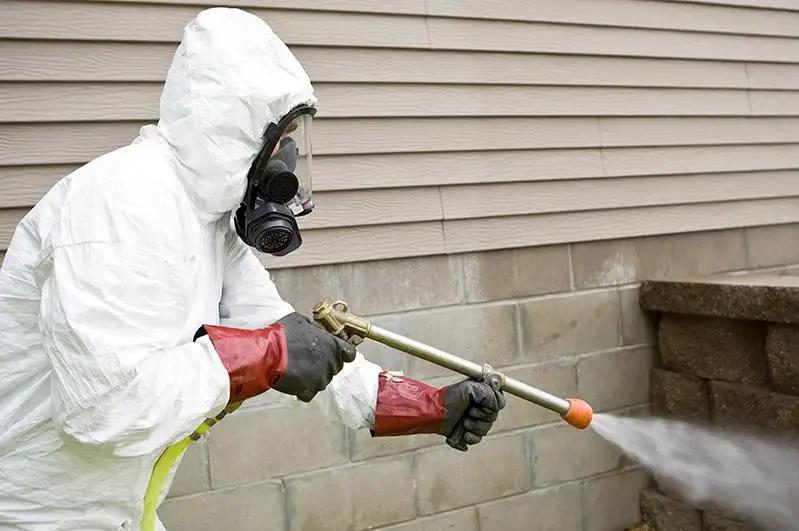 Дератизацию против грызунов начали в Шымкенте