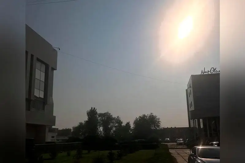 اقتاۋ كوشەلەرىن ءتۇتىن باستى