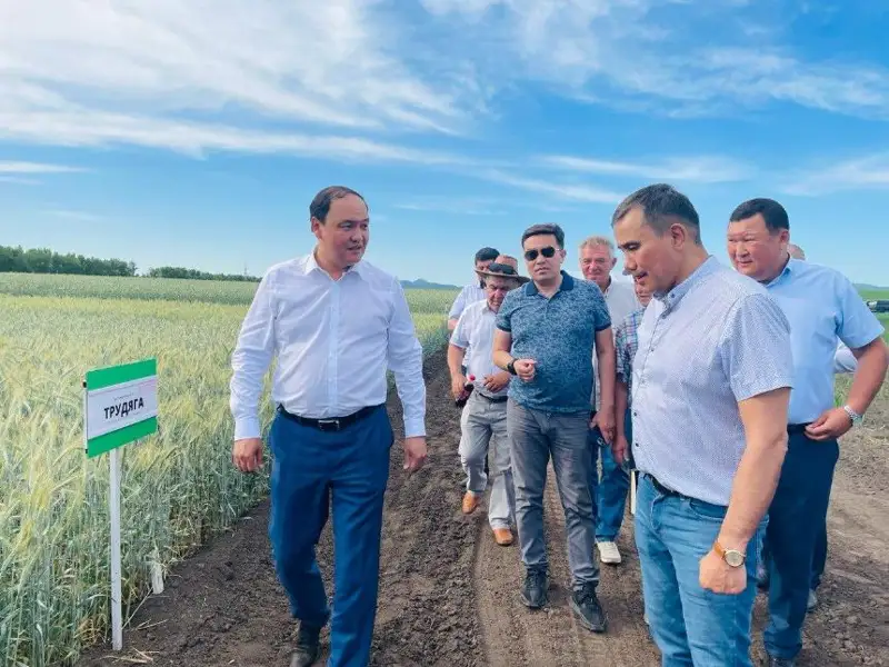 За два года в ВКО реализуют 34 проекта в сфере АПК - глава Минсельхоза