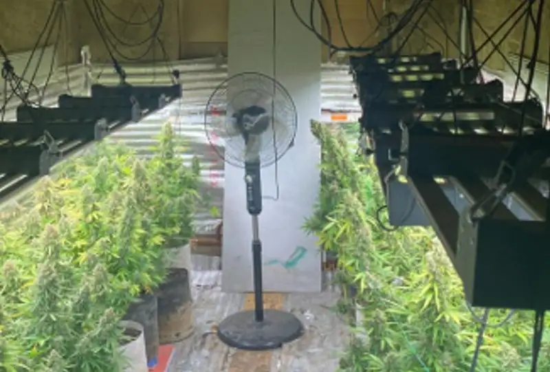 Подпольную нарколабораторию ликвидировали в пригороде столицы