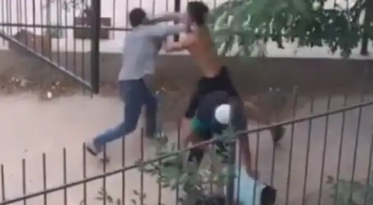 بۇزاقىلاردىڭ سازايىن بەرگەن جىگىت وقيعانىڭ ءمان-جايىن ايتتى
