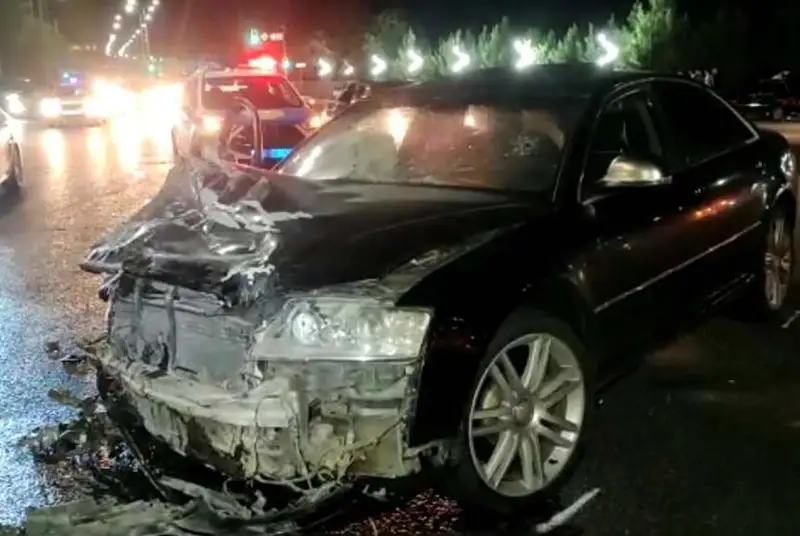 Shymkentte jol apatynda úsh búldirshin anasynan aıyryldy
