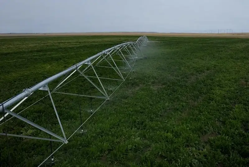 В 2,5 раза увеличить посевные площади сахарной свеклы планируют в Жетысуской области