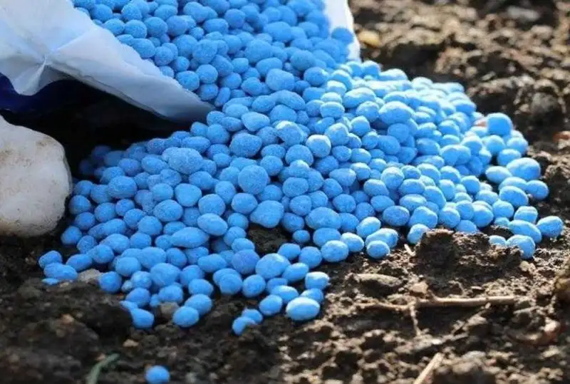 Более 14 млн тонн фосфорных отходов скопилось близ Тараза