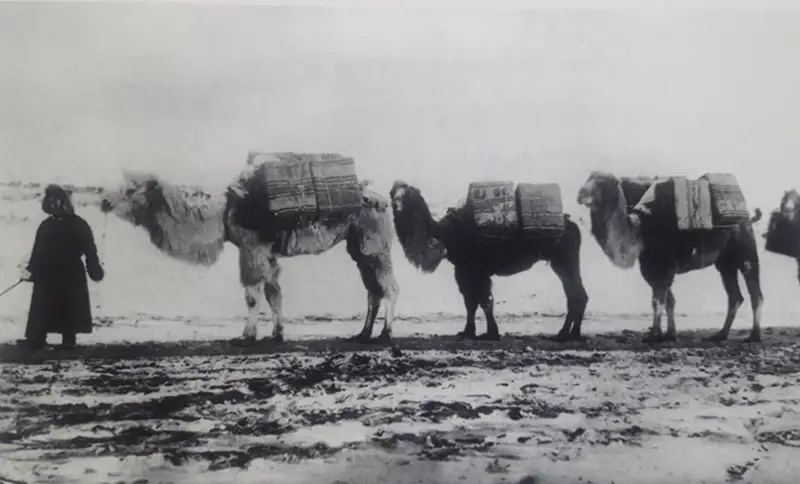 باي-ولكەدەن بيسكىگە بارعان كەرۋەن