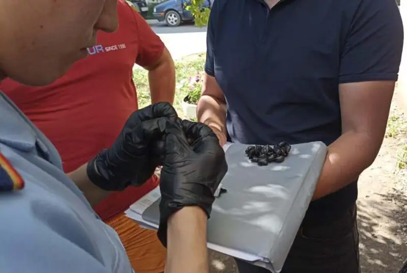 Двух закладчиков наркотиков задержали в Кокшетау