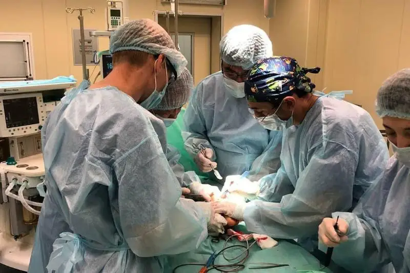ەلوردا دارىگەرلەرى سيرەك كەزدەسەتىن اۋرۋعا شالدىققان بالاعا كۇردەلى وتانى ءساتتى جاسادى