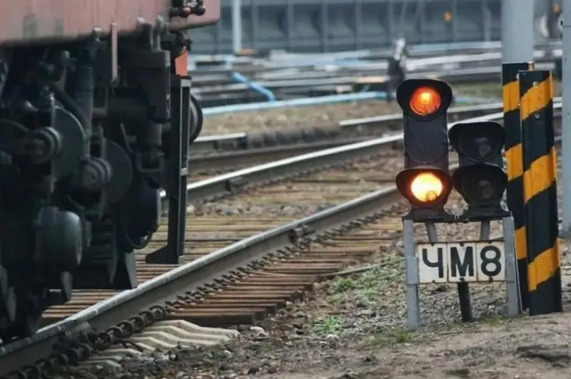 Миллионные штрафы выписаны владельцам попавшего под поезд скота