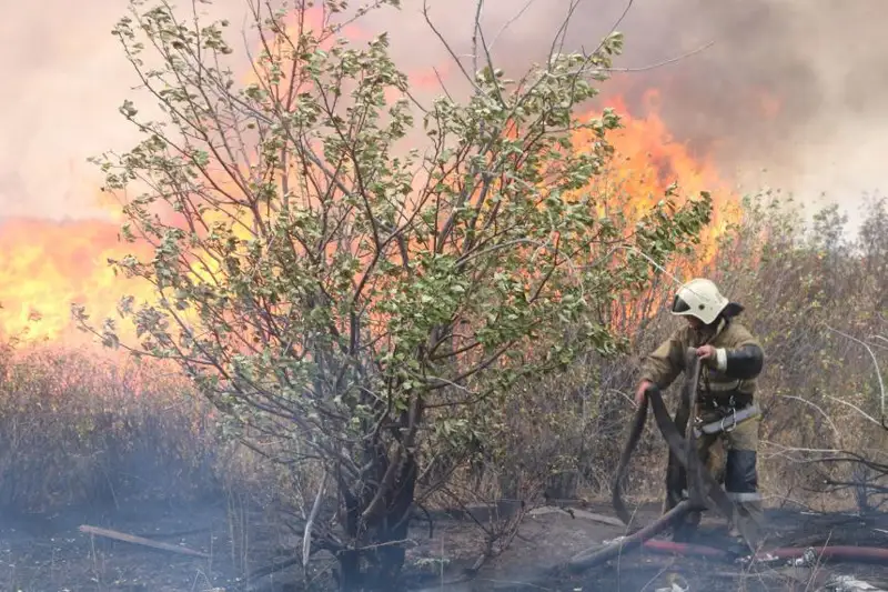 Зарегистрировано 17 степных пожаров за сутки в Карагандинской области