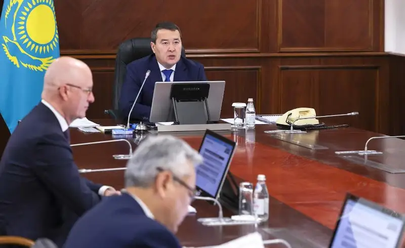 Расширить сеть кризисных центров для жертв бытового насилия поручил Алихан Смаилов