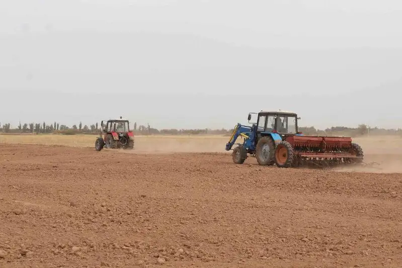 جامبىل وبلىسى ت. رىسقۇلوۆ اۋدانىندا العاش رەت راپس داقىلى ەگىلۋدە
