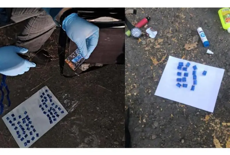 Синтетические наркотики в особо крупном размере изъяли у петропавловца