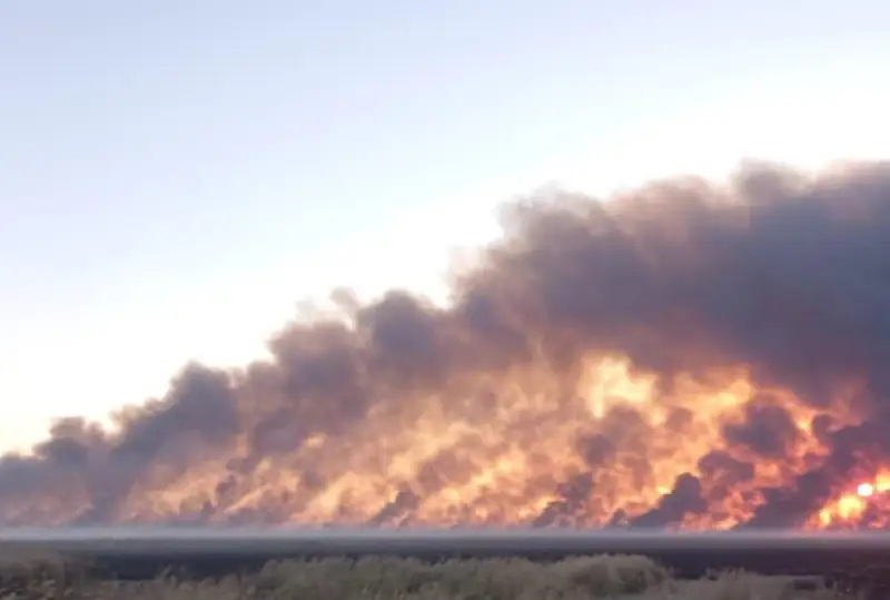 Пожар на Каспии перекинулся на природный резерват «Акжайык»