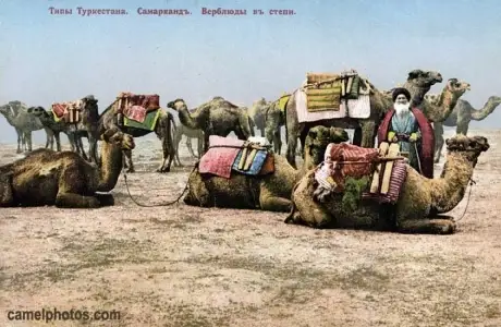 ءۇندىستان شاھزاداسىنىڭ تاۋكە حانعا جازعان حاتى