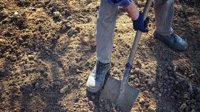 قازاقستاندا زيراتتاردى كۇتىپ ۇستاۋ تۋرالى زاڭ ازىرلەۋ ۇسىنىلدى