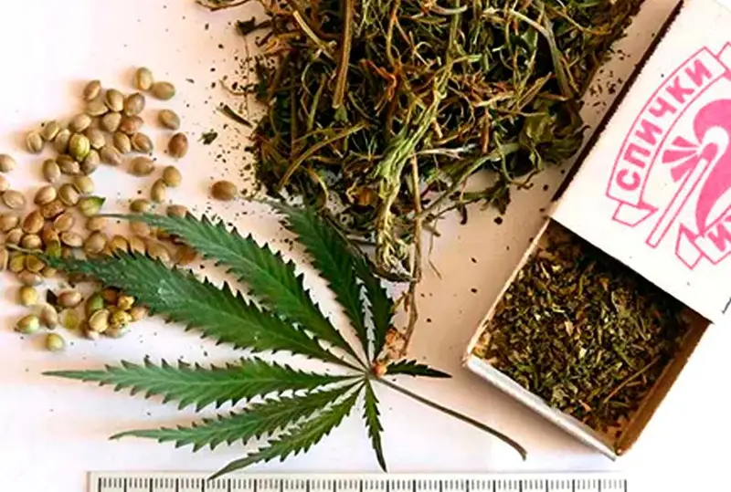 Иностранец пытался пронести марихуану через госграницу