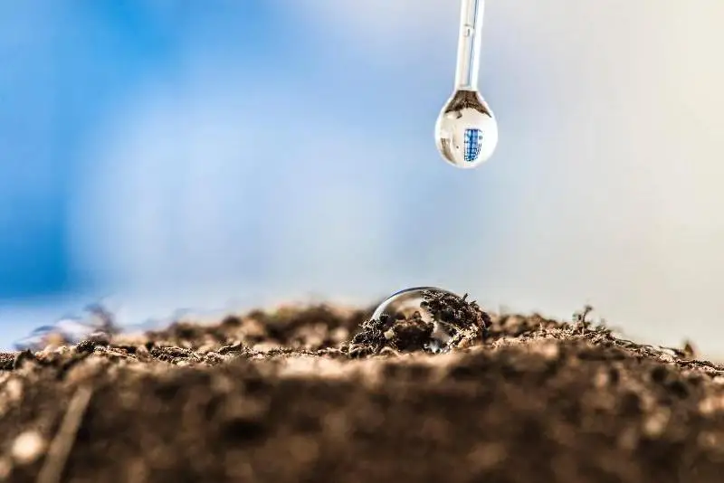 Посевные работы: задержать влагу в почве рекомендует Минсельхоз