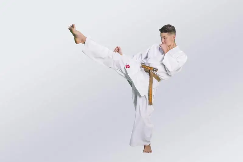 قازاقستاندا كيوكۋشينكاي كاراتەدەن الەم چەمپيوناتى وتەدى