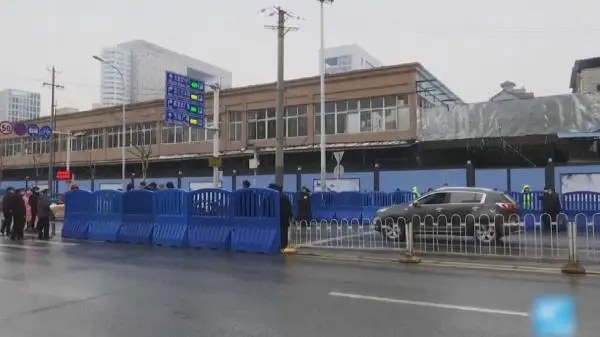 دۇنيەجۇزىلىك دەنساۋلىق ساقتاۋ ۇيىمىنىڭ ساراپشىلارى ۋحانداعى اتى شۋلى بازارعا باردى