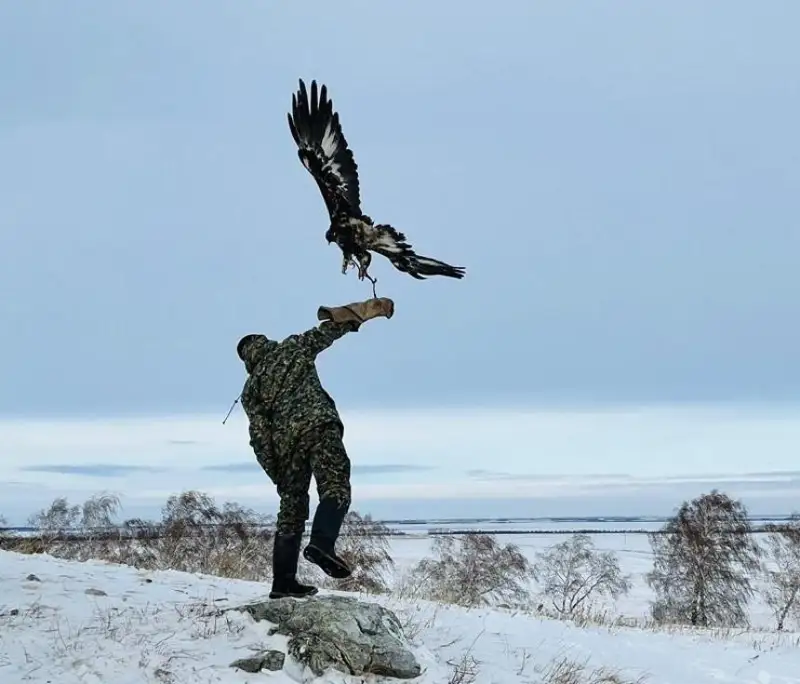 Лучшего кусбеги определили на международном турнире в Акмолинской области