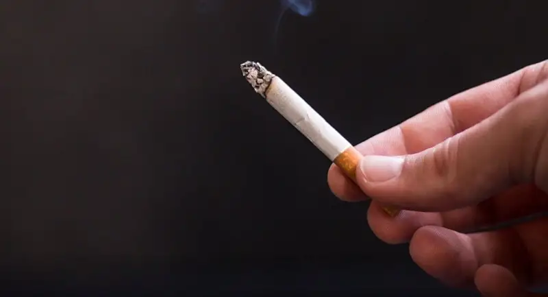 تەمەكى شەگۋدىڭ دە پايداسى بار