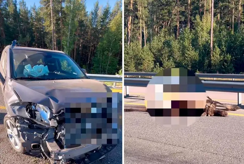 Astana - Petropavl tas jolynda bulannyń kesirinen eki jol-kólik oqıǵasy boldy