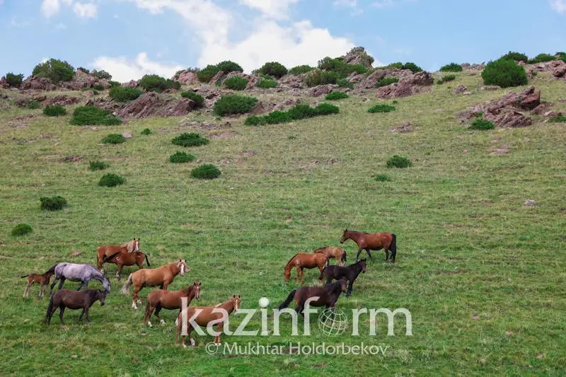 اۋىل ماڭىنداعى جەرلەر قوعامدىق جايىلىمعا اينالۋعا ءتيىس - زاڭگەر