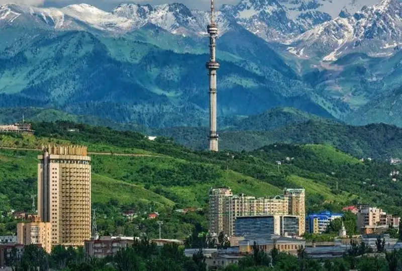Чем заняться в городе летом
