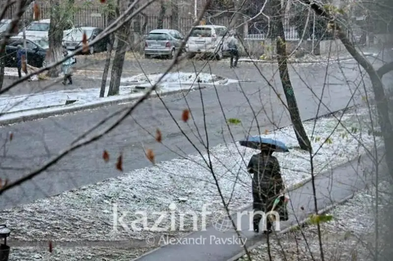 Климат ұнамады – солтүстікке көшіп барған 76 адам кері қайтқан
