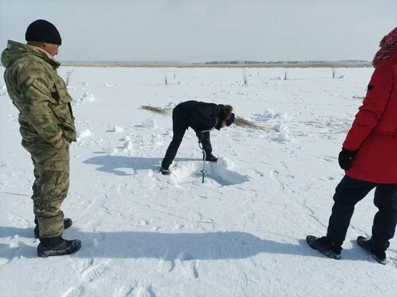 Дни экологической чистоты провели в регионах Костанайской области