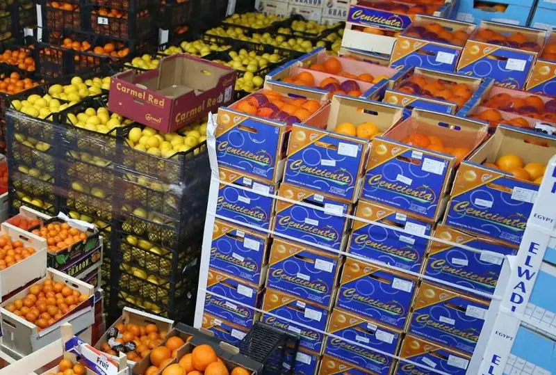 Казахстан диверсифицирует экспорт продовольственных товаров