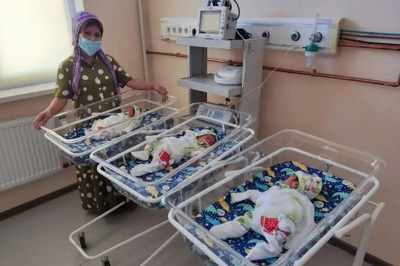 تۇركىستان وبلىسىندا بيىلدىققا التىنشى ۇشەم دۇنيەگە كەلدى