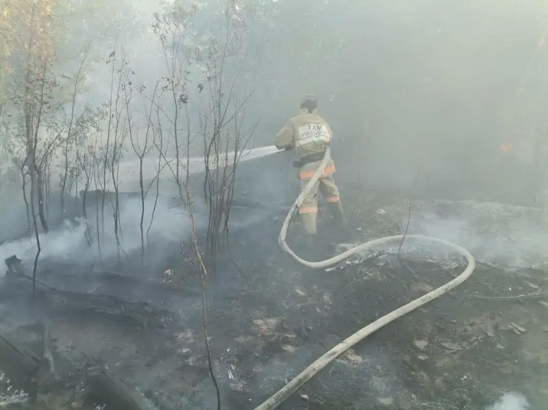 باتىس قازاقستاندا 9 اۋلا وتقا ورانىپ، 64 توننا پىشەن جانىپ كەتتى