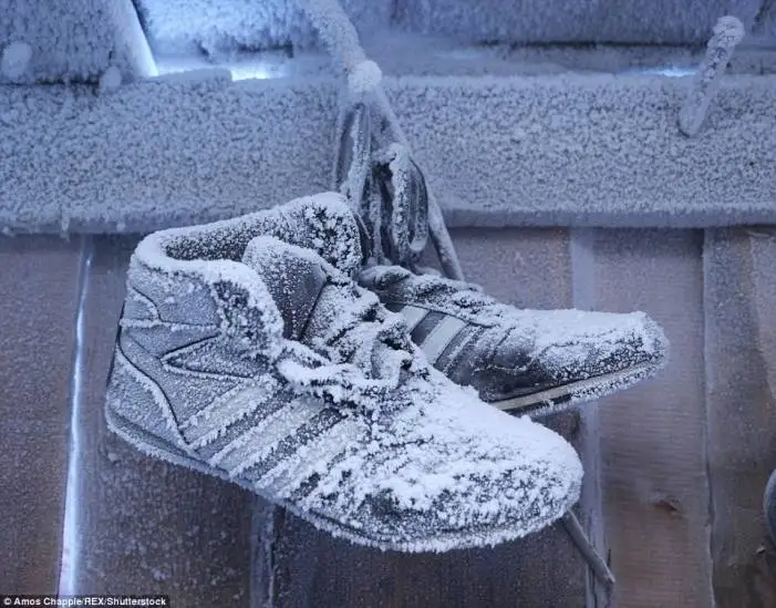 3998AD9500000578-3863596-image-m-81_1477191093807_701x549