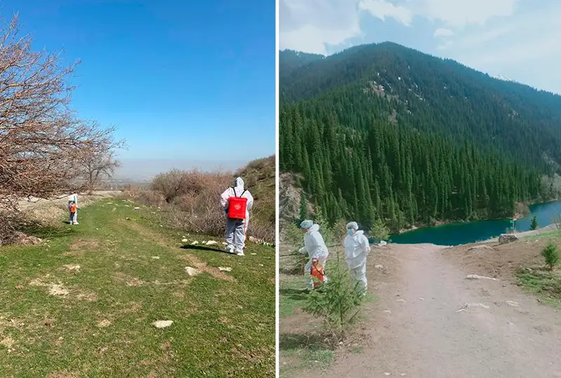 Более 800 детей пострадали от укусов клещей в Алматинской области