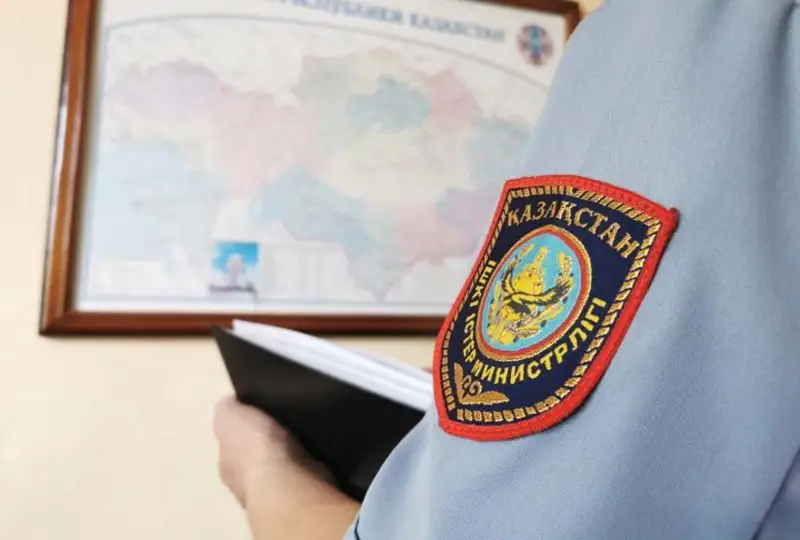 Два скотокрада похитили 4 лошадей у жителя Туркестанской области