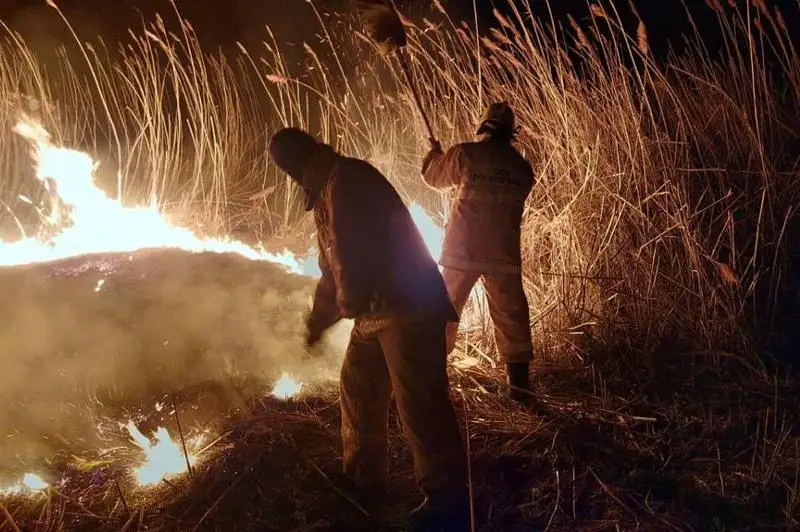 Заросли тростника загорелись в природном резервате «Акжайык»