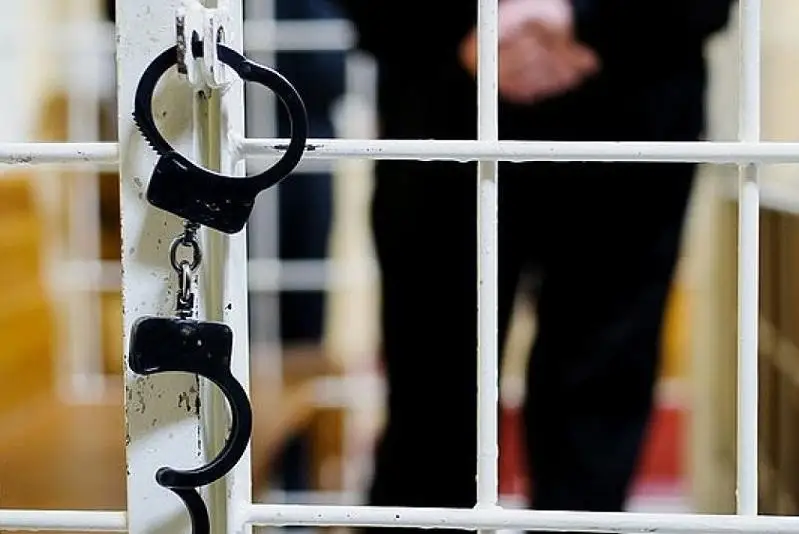 Какие обвинения предъявлены иностранным гражданам по январским событиям