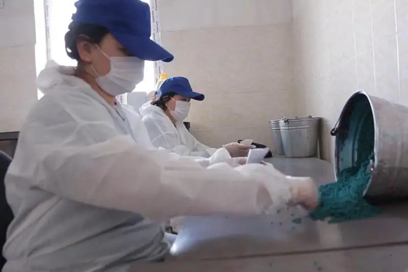 Работы по дератизации начались в столице