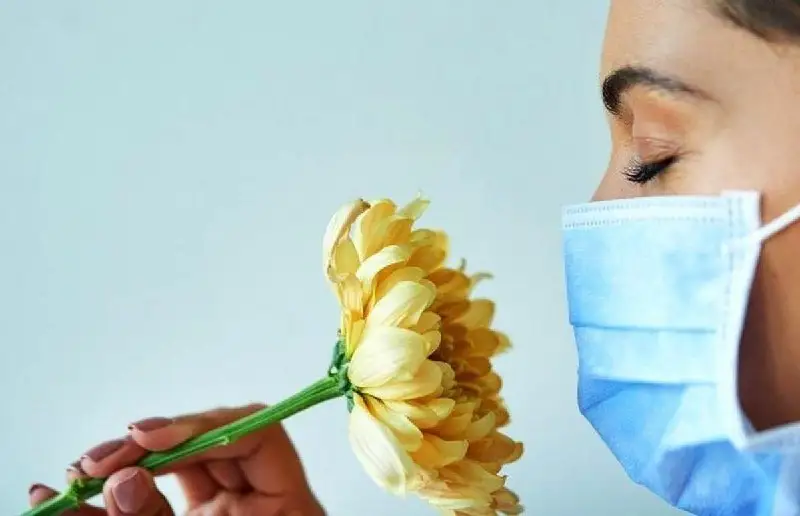 كوروناۆيرۋس بولماسا، ءيىس سەزۋ قابىلەتىن جوعالتۋ نەنى بىلدىرەدى؟