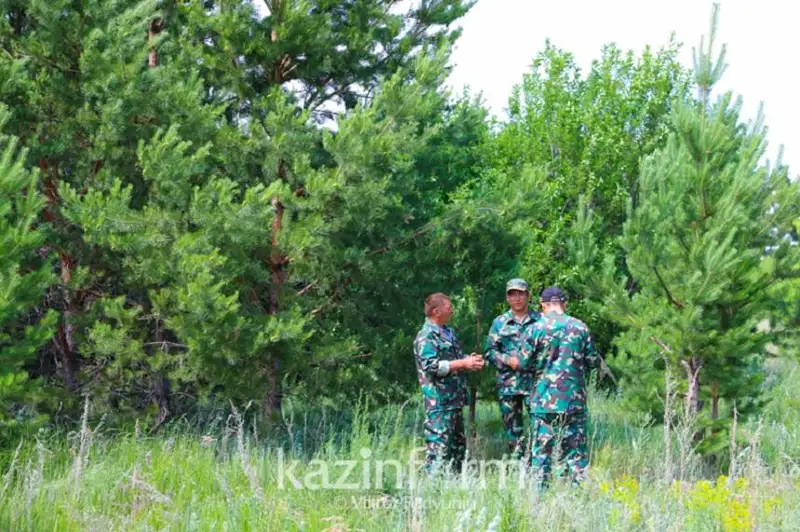 Посещение зеленого пояса столицы в жару намерены запретить