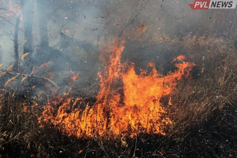 Степной пожар разгорелся в трех районах Павлодарской области