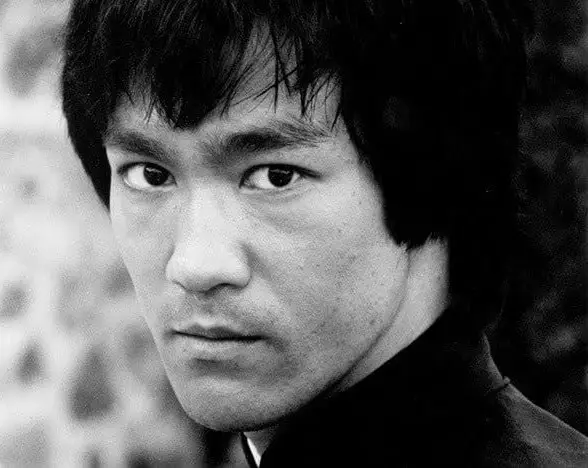 لي شاۋ لۇڭ تۋرالى قىزىقتى دەرەكتەر