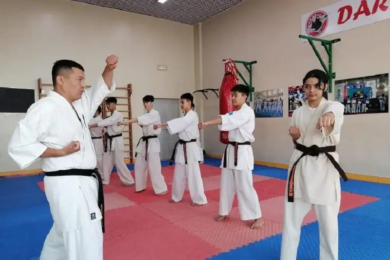 Программу Art Sport возобновят в Алматы