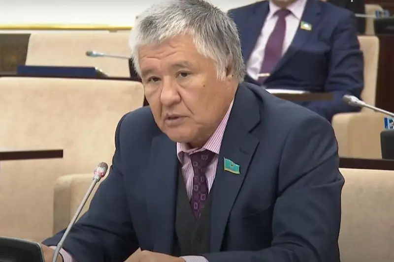 Мирные протесты против повышения цен на топливо, участники которых выдвинули требования, были услышаны и выполнены государством - сенатор