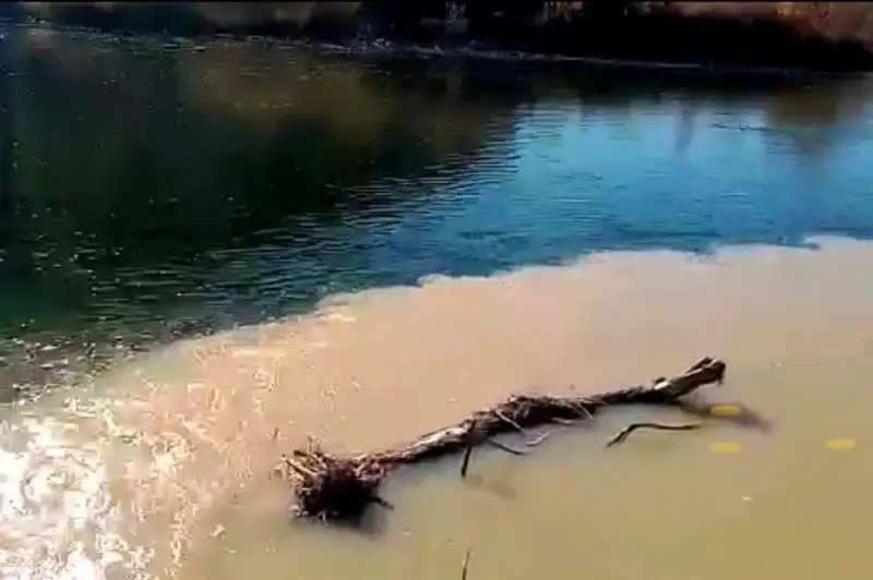 ەلىمىزدە ارناسىن باتپاق پەن قالىڭ ءشوپ باسقان وزەندەر اتالدى