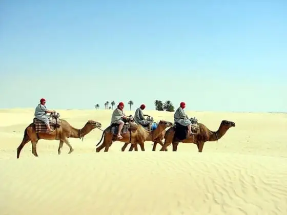 ساحارا ءشولى تۋرالى قىزىقتى مالىمەتتەر