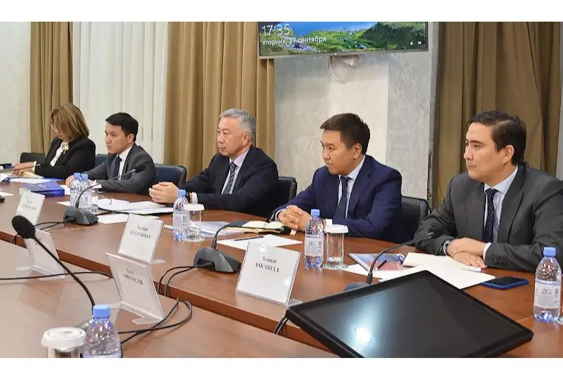 Prezıdent keńesshisi men Serik Jumanǵarın azyq-túlik máselesin talqylady