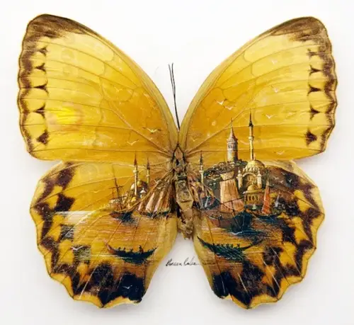 Художник Hasan Kale (35 фото)